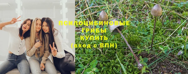 гидропоника Беломорск