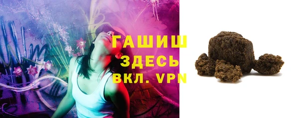 прущие грибы Белокуриха