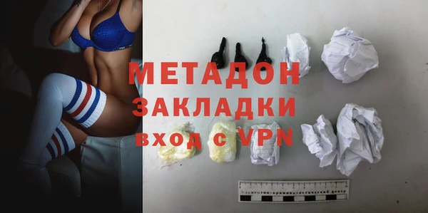 прущие грибы Белокуриха