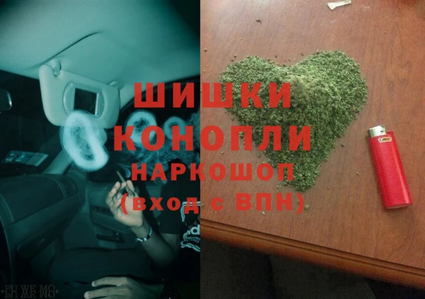 прущие грибы Белокуриха