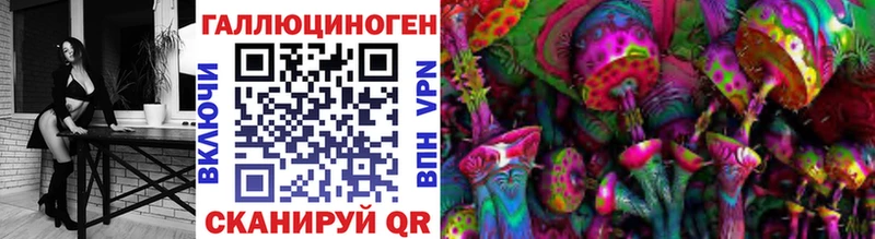 как найти закладки  Высоковск  Псилоцибиновые грибы GOLDEN TEACHER 